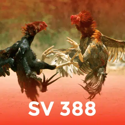 Sv388