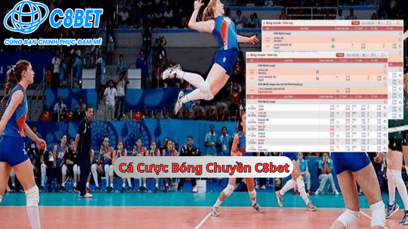 Cá cược bóng chuyền 789vg