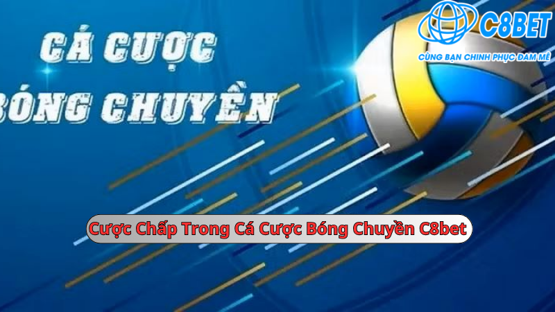 Cược chấp trong cá cược bóng chuyền 789vg