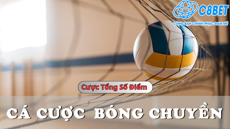 Cược bóng chuyền cược tổng số điểm 789vg