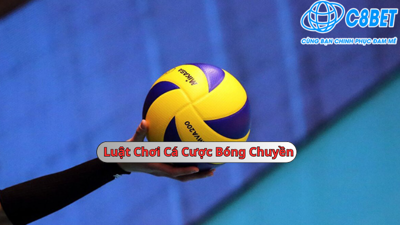 Luật chơi cá cược bóng chuyền 789vg