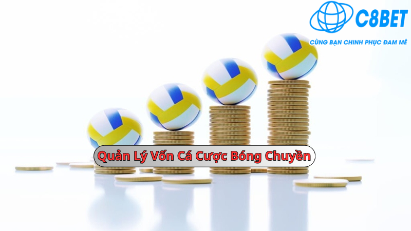 Quản lý vốn cược bóng chuyền 789vg