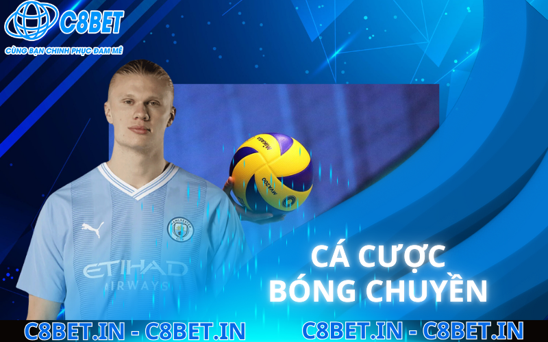 Cá Cược Bóng Chuyền C8bet